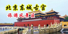 美女淫乱中国北京-东城古宫旅游风景区