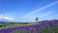 鸡插入花蕊日本一地6日游  境外旅游 6880元/人